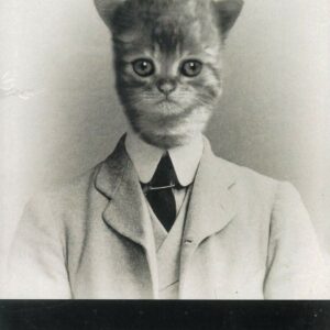 MEOWMORPHOSIS: Franz Kafka