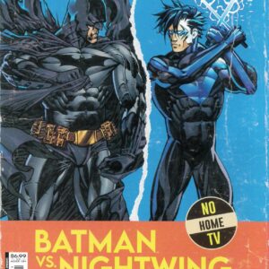 BATMAN VS ROBIN #3: Mario (Fox) Foccillo Batman VS Nightwing Fight Poster cvr I