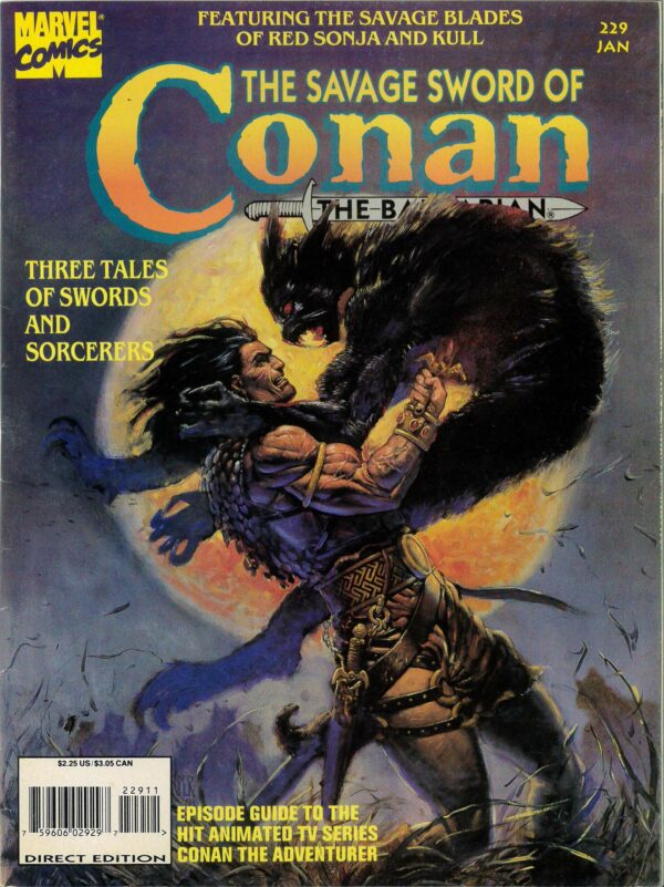 SAVAGE SWORD OF CONAN (1973-1995 SERIES) #229: Newsstand Edition – NM
