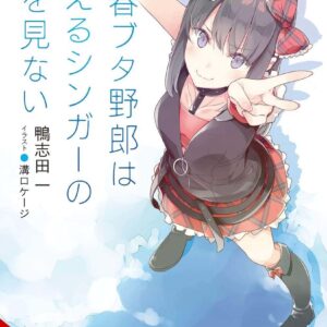 RASCAL DOES NOT DREAM LIGHT NOVEL #10: of a Lost Singer