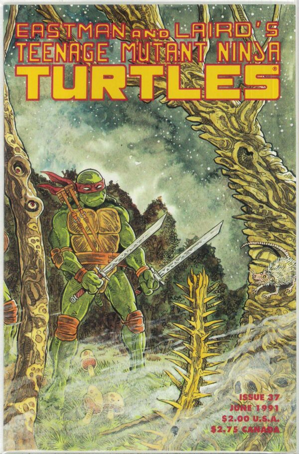 TEENAGE MUTANT NINJA TURTLES (1984-1993 SERIES) #37