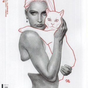 BATMAN (2016-2025 SERIES: VARIANT EDITION) #134: Frank Cho RI cover D