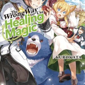 WRONG WAY TO USE HEALING MAGIC LIGHT NOVEL #2
