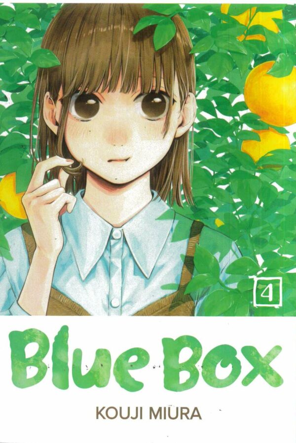 BLUE BOX GN #4