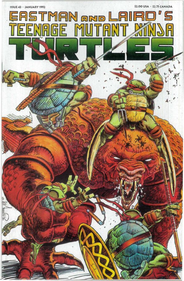 TEENAGE MUTANT NINJA TURTLES (1984-1993 SERIES) #43: VF/NM