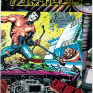 TEENAGE MUTANT NINJA TURTLES (1984-1993 SERIES) #30: VF/NM: Casey Jones: Wraparound