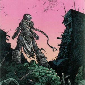 TEENAGE MUTANT NINJA TURTLES (2011-2024: VARIANT) #142: Kevin Eastman cover B