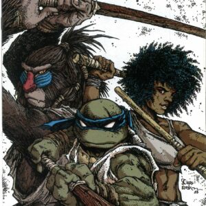TEENAGE MUTANT NINJA TURTLES (2011-2024: VARIANT) #143: Kevin Eastman cover B