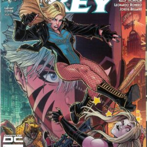 BIRDS OF PREY (2023 SERIES) #1: Nick Bradshaw RI cover E
