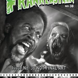 CASTLE OF FRANKENSTEIN #38