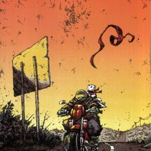 TEENAGE MUTANT NINJA TURTLES (2011-2024: VARIANT) #144: Kevin Eastman cover B