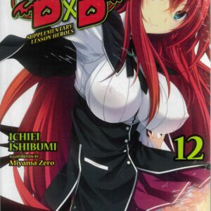HIGH SCHOOL DXD LIGHT NOVEL #12: Supplementary Lesson Heroes