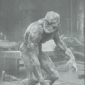 MIGHTY MORPHIN POWER RANGERS (2016 SERIES) #114: Bjorn Barends RI cover D