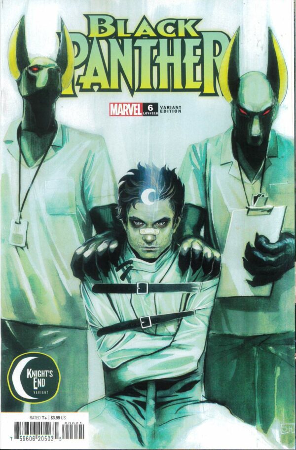 BLACK PANTHER (2023 SERIES) #6: Stephanie Hans Knight’s End cover C