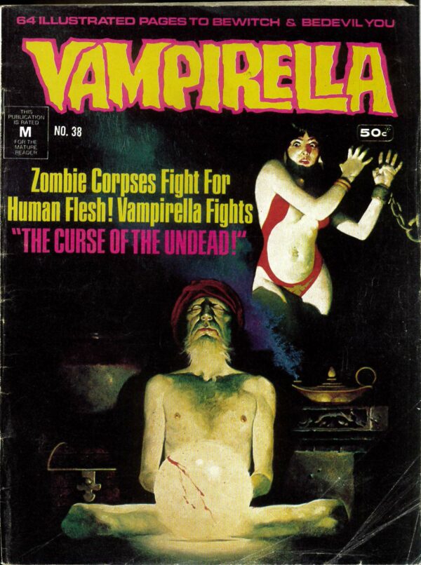 VAMPIRELLA (1974-1979 SERIES) #38: VG