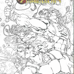 HE-MAN THUNDERCATS #1: #1 Coloring Book cover