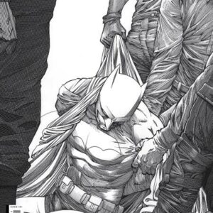 DETECTIVE COMICS (1935- SERIES: VARIANT EDITION) #1078: Evan Cagle RI cover E