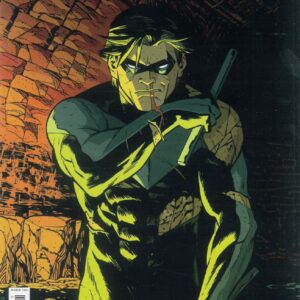 NIGHTWING (2016- SERIES: VARIANT EDITION) #109: Ethan Young RI cover D