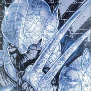 POWER RANGERS/TEENAGE MUTANT NINJA TURTLES II #1: B&W Edition (Reveal cover E)