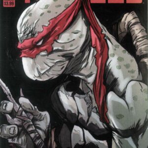 TEENAGE MUTANT NINJA TURTLES (2011-2024 SERIES) #147: Vincenzo Federici cover A