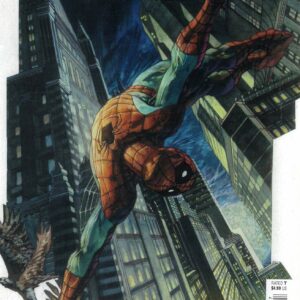 AMAZING SPIDER-MAN (2022 SERIES) #41: Simone Bianchi RI cover Q