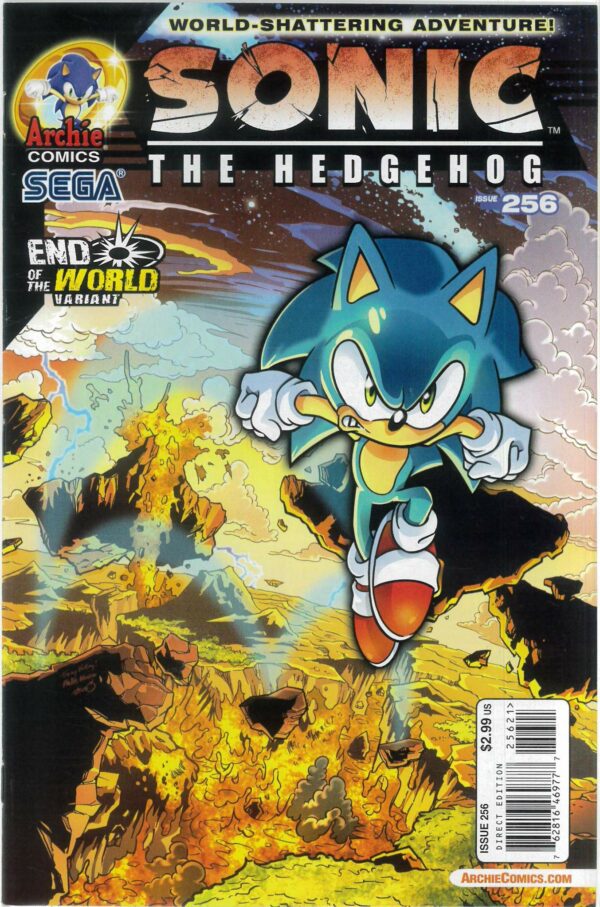 SONIC THE HEDGEHOG (1993-2017 SERIES) #256: #256 tracy Yardley End of the World cover