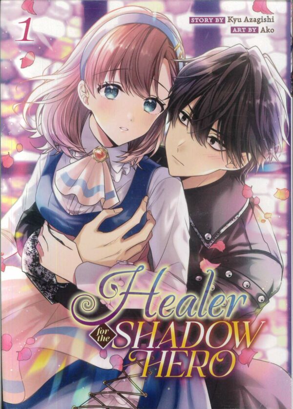 HEALER FOR THE SHADOW HERO GN #1