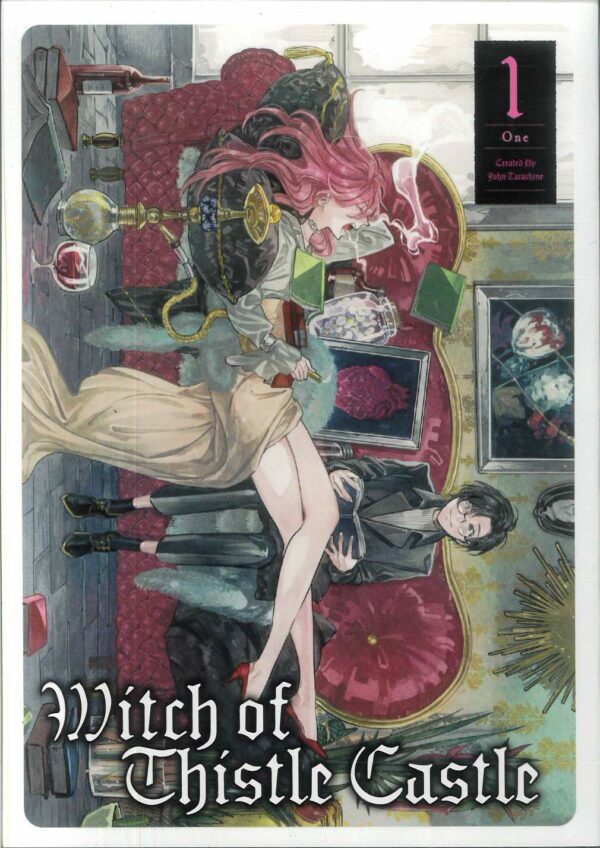 WITCH OF THISTLE CASTLE GN #1