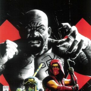 RED HOOD: THE HILL #4: Steve Beach cover B