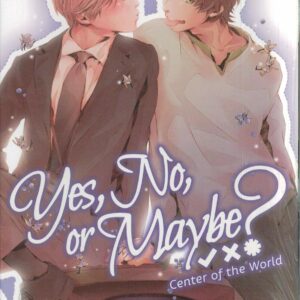 YES NO OR MAYBE LIGHT NOVEL #2: Center of the World