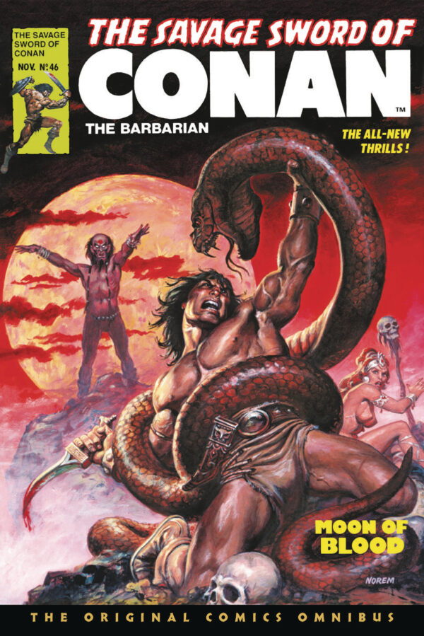 SAVAGE SWORD OF CONAN ORIGINAL COMICS OMNIBUS (HC) #4 #45-60 (Earl Norem SSOC #46 cover)