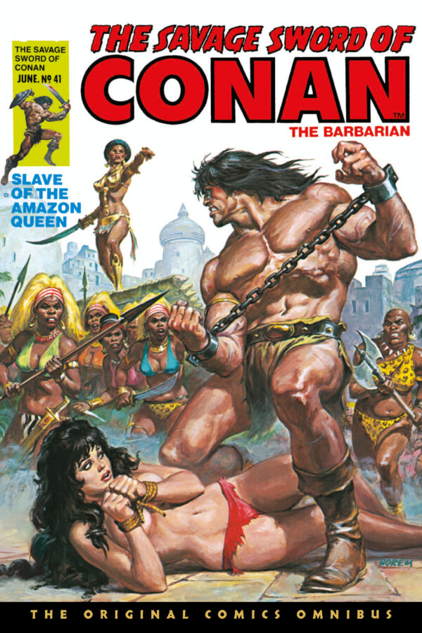 SAVAGE SWORD OF CONAN ORIGINAL COMICS OMNIBUS (HC) #3 Earl Norem Direct Market cover (#41)