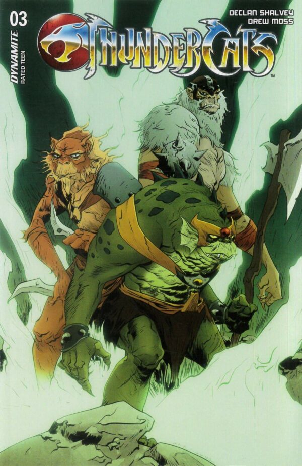 THUNDERCATS (2024 SERIES) #3: Jae Lee cover D