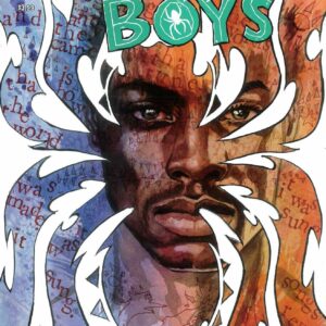ANANSI BOYS I #1: David Mack cover A