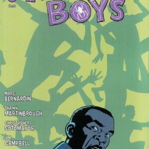 ANANSI BOYS I #2: Shawn Martinbrough cover B