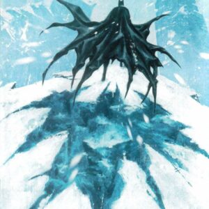 DETECTIVE COMICS (1935- SERIES: VARIANT EDITION) #1089: Sebastian Fiumara RI cover D