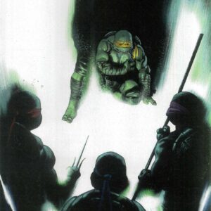 TEENAGE MUTANT NINJA TURTLES (2024 SERIES) #2: Rafael Albuquerque cover A