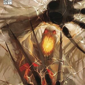 SPAWN: THE SCORCHED #36: Don Aguillo cover A