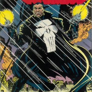 PUNISHER (1987-2018 SERIES) #89