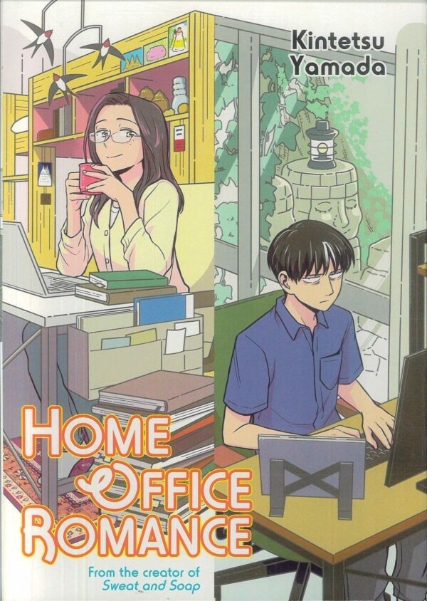 HOME OFFICE ROMANCE GN