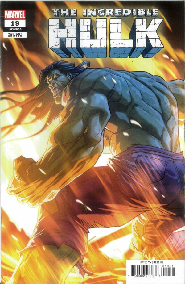 INCREDIBLE HULK (2023 SERIES) #19: Pete Woods cover C