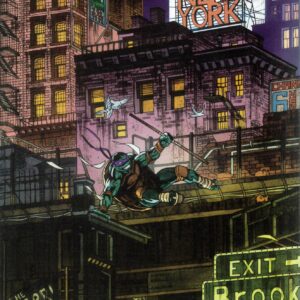 TEENAGE MUTANT NINJA TURTLES (2024 SERIES) #4: Danny Earls RI cover F