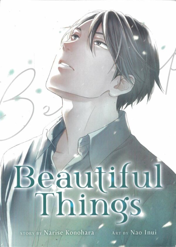 BEAUTIFUL THINGS COMPLETE MANGA COLLECTION GN