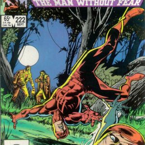 DAREDEVIL (1964-2018 SERIES) #222