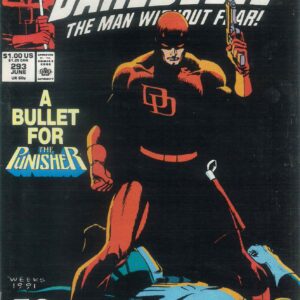 DAREDEVIL (1964-2018 SERIES) #293: Punisher: Tombstone