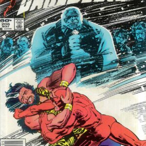 DAREDEVIL (1964-2018 SERIES) #206: Newsstand Ed – NM
