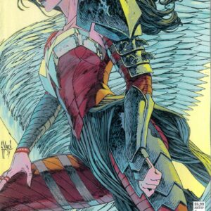 ABSOLUTE WONDER WOMAN #2: Guillem March 2nd Print cover B