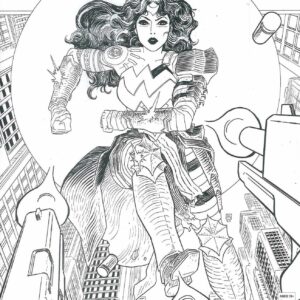 ABSOLUTE WONDER WOMAN #2: Hayden Sherman Inks 3rd Print RI cover D