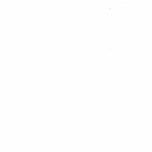 AQUAMAN (2025 SERIES) #1: Blank Sketch cover D