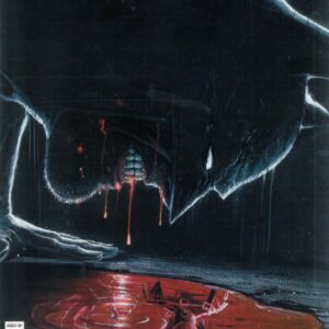 DETECTIVE COMICS (1935- SERIES: VARIANT EDITION) #1094: Juan Ferreyra RI cover D